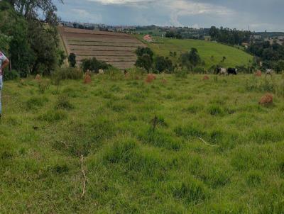 Terreno Comercial para Venda, em Tatu, bairro Boa Vista