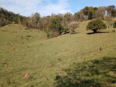 Terreno Comercial para Venda, em Capela do Alto, bairro Porto