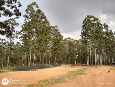 Terreno Comercial para Venda, em Tatu, bairro Centro, 2 dormitrios, 1 banheiro, 1 vaga