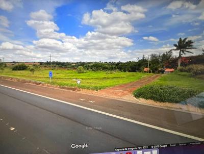 Terreno para Venda, em Cesrio Lange, bairro Centro