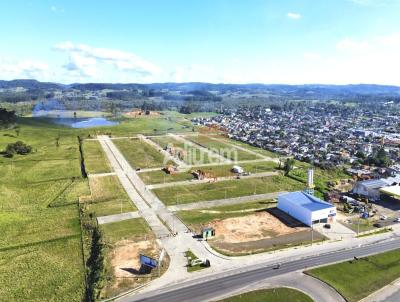 Terreno para Venda, em Taquara, bairro Ideal