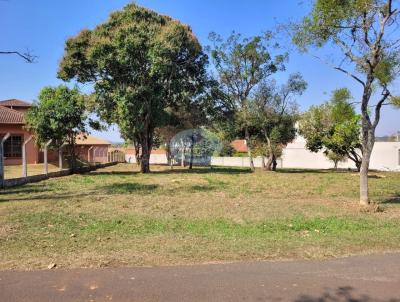 Terreno para Venda, em Rio Claro, bairro Residencial Florena