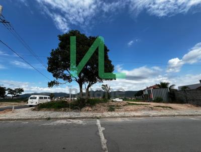 Lote para Venda, em Brumadinho, bairro Ficus