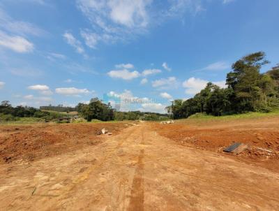 Lote para Venda, em Cricima, bairro Vila Selinger