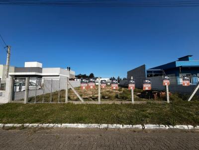 Terreno para Venda, em Osrio, bairro Bosques do Albatroz