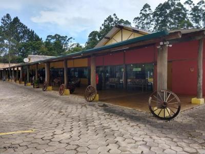 Ponto Comercial para Venda, em So Luiz do Paraitinga, bairro Rodovia