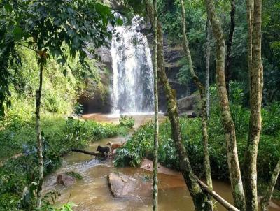 Fazenda para Venda, em Bias Fortes, bairro Centro, 2 vagas