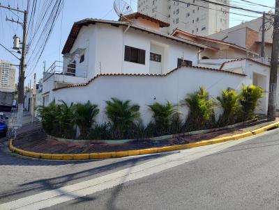 imagem-miniatura