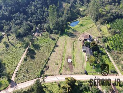 rea Rural para Venda, em Montenegro, bairro rea rural