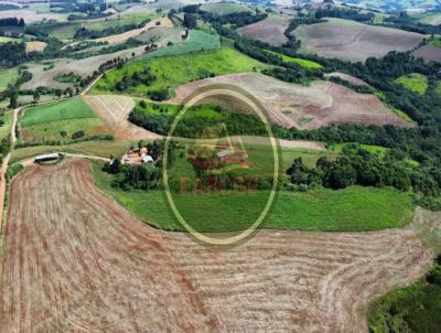 Fazenda para Venda, em Marquinho, bairro .