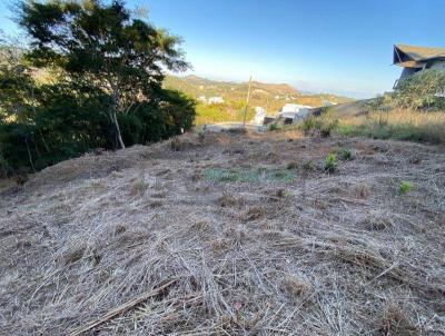 Terreno para Venda, em Juiz de Fora, bairro Novo Horizonte