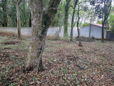 Terreno para Venda, em Lapa, bairro Centro