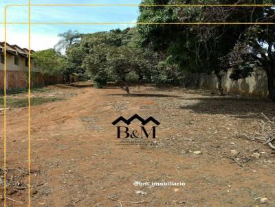 Terreno Comercial para Venda, em So Jos da Lapa, bairro centro