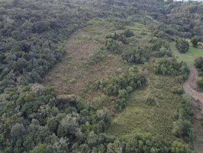 Stio para Venda, em Canguu, bairro 4 Distrito de Canguu