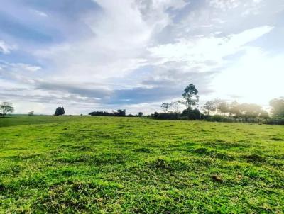 Terreno Rural para Venda, em Boituva, bairro Recanto Maravilha