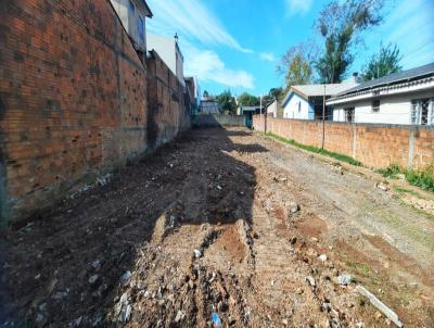 Terreno para Venda, em Passo Fundo, bairro Vera Cruz