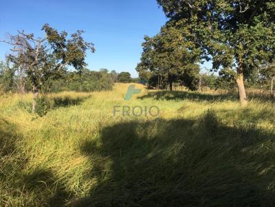 Fazenda para Venda, em Caldas Novas, bairro Esplanada, 2 dormitrios