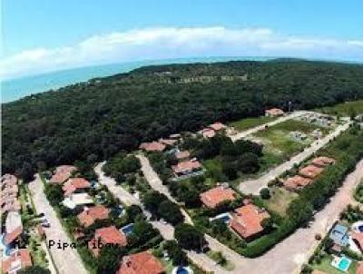 imagem-miniatura