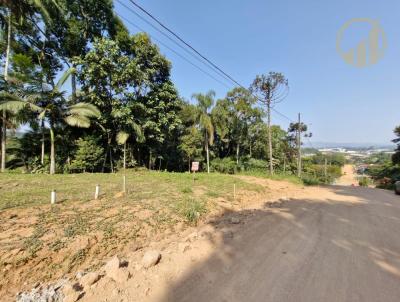 Terreno para Venda, em Timb, bairro Quintino