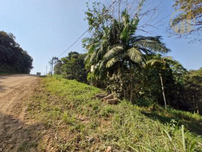 Terreno para Venda, em Timb, bairro Quintino