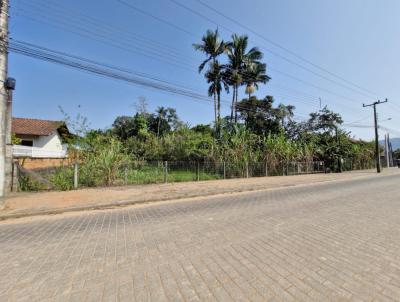 Terreno para Venda, em Timb, bairro Quintino