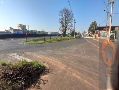 Terreno para Venda, em , bairro Alto da colina, 2 banheiros, 10 vagas