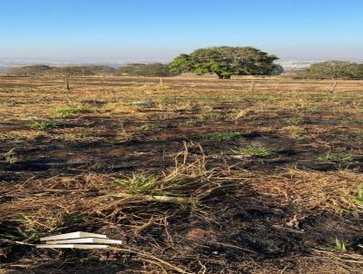 Lote para Venda, em Patos de Minas, bairro Parque do Sabia