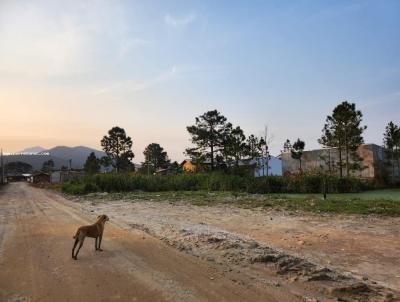 Terreno para Venda, em Palhoa, bairro Passagem do Massiamb