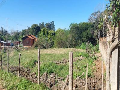 Terreno para Venda, em Imaru, bairro Centro