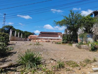 Terreno para Venda, em Joinville, bairro Joo Costa