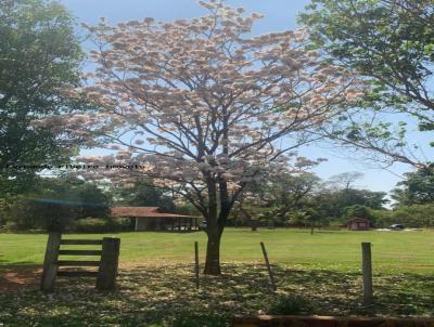 Fazenda para Venda, em Mirante do Paranapanema, bairro ..