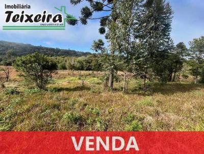 Terreno para Venda, em Jaguariava, bairro Bom Sucesso