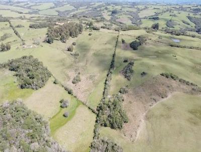 rea Rural para Venda, em Canguu, bairro 3 Distrito de Canguu