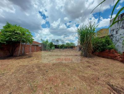 Terreno para Venda, em So Jos do Rio Preto, bairro Vila Anchieta