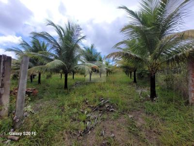 Terreno para Venda, em Camaari, bairro Centro