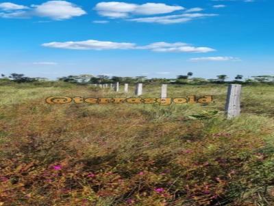 Fazenda para Venda, em Porto Alegre do Norte, bairro Zona rural