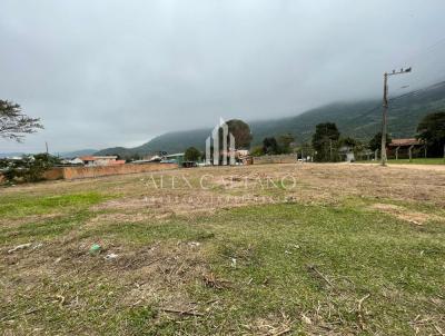 Terreno para Venda, em Florianpolis, bairro So Joo do Rio Vermelho