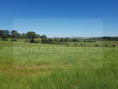 rea Rural para Venda, em Alegrete, bairro interior