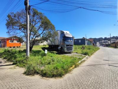 Terreno para Venda, em Canela, bairro So Luiz