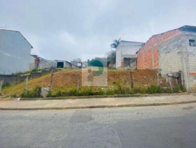 Terreno para Venda, em Mogi das Cruzes, bairro Vila So Sebastio