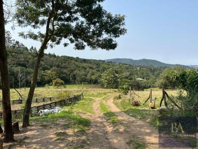 Stio para Venda, em Serto Santana, bairro rea rural