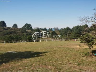 Terreno para Venda, em Piraquara, bairro Atuba