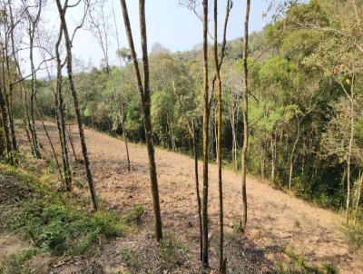 Terreno para Venda, em Piedade, bairro Furnas