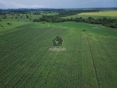 rea Rural para Venda, em Alvorada d`Oeste, bairro Regio Central do Estado de Rondnia, frente para Rodoviaria Federal