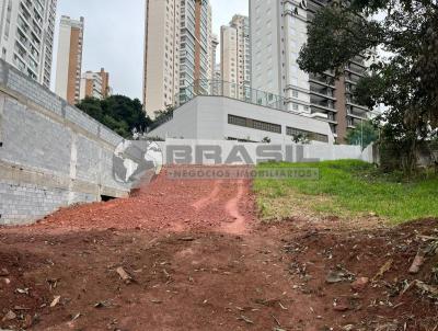 Terreno para Locao, em So Paulo, bairro Vila Andrade