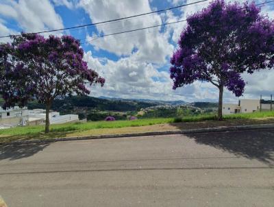 Terreno para Venda, em Juiz de Fora, bairro Vina Del Mar