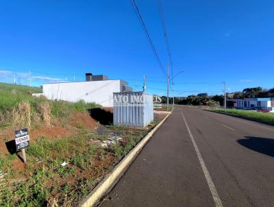 Terreno para Venda, em Pato Branco, bairro Fraron