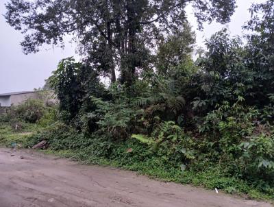 Terreno para Venda, em Itanham, bairro Jardim Coronel