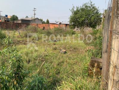 Terreno para Venda, em Sapiranga, bairro Floresta