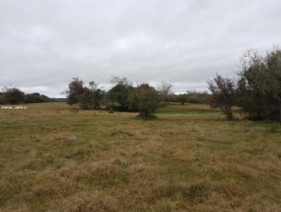 rea Rural para Venda, em Bag, bairro Bag